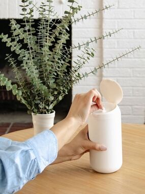 Bundle- Biom White Regular Size & White Mini